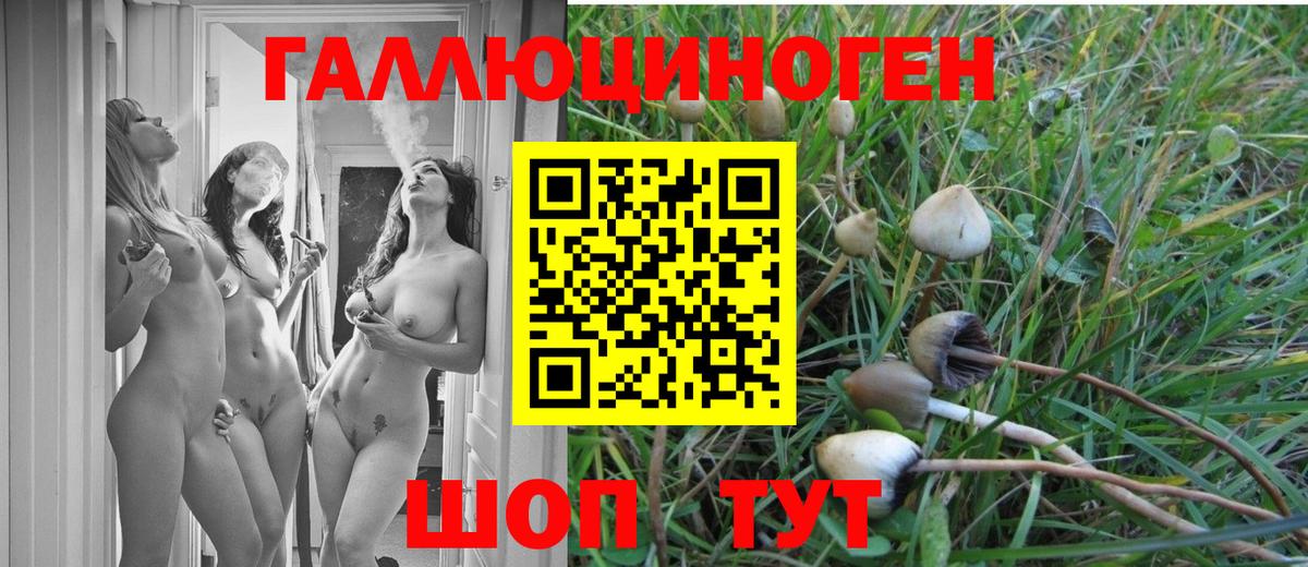 Псилоцибиновые грибы прущие грибы  Вход с VPN  Кувандык 